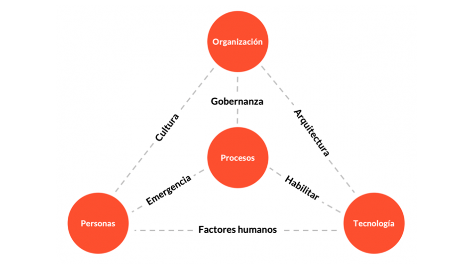 gestion de riesgos